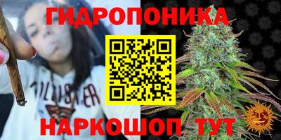 бошки Краснодар