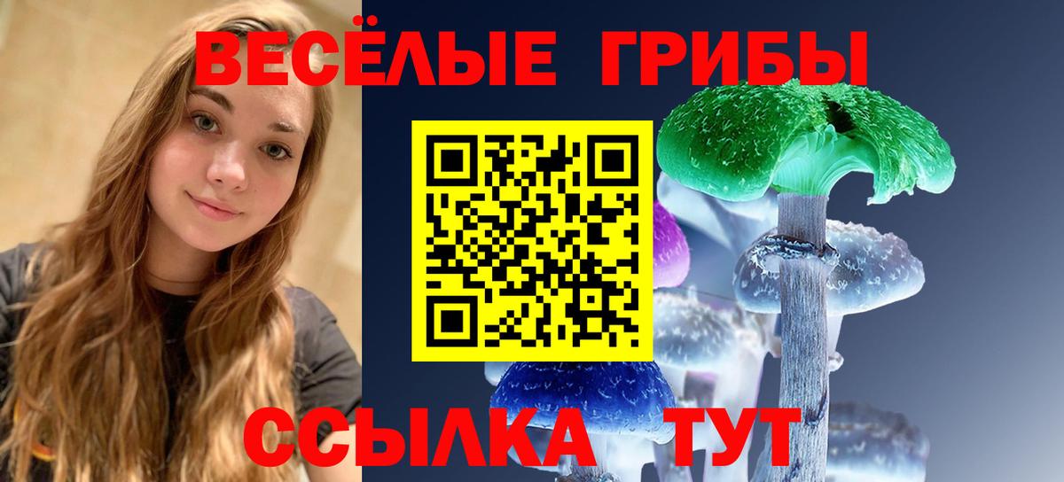 Галлюциногенные грибы прущие грибы  Галлюциногенные грибы Cubensis  Вход с VPN  Сальск 